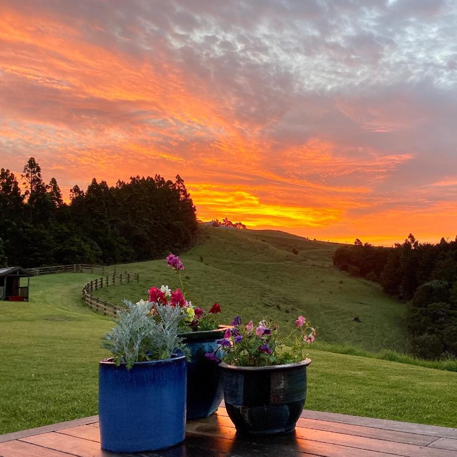 Kauri Glen BnB Te Arai Bagian luar foto