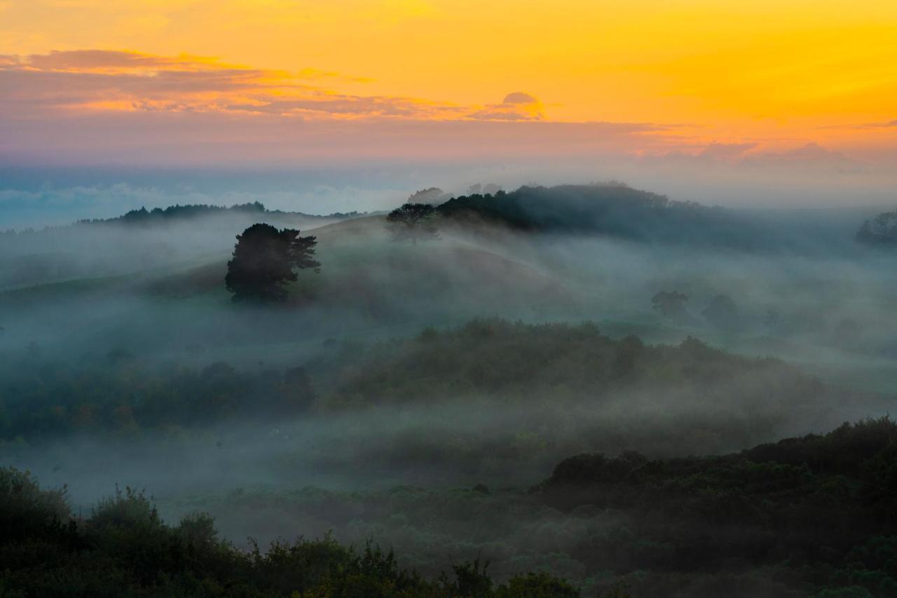 Kauri Glen BnB Te Arai Bagian luar foto