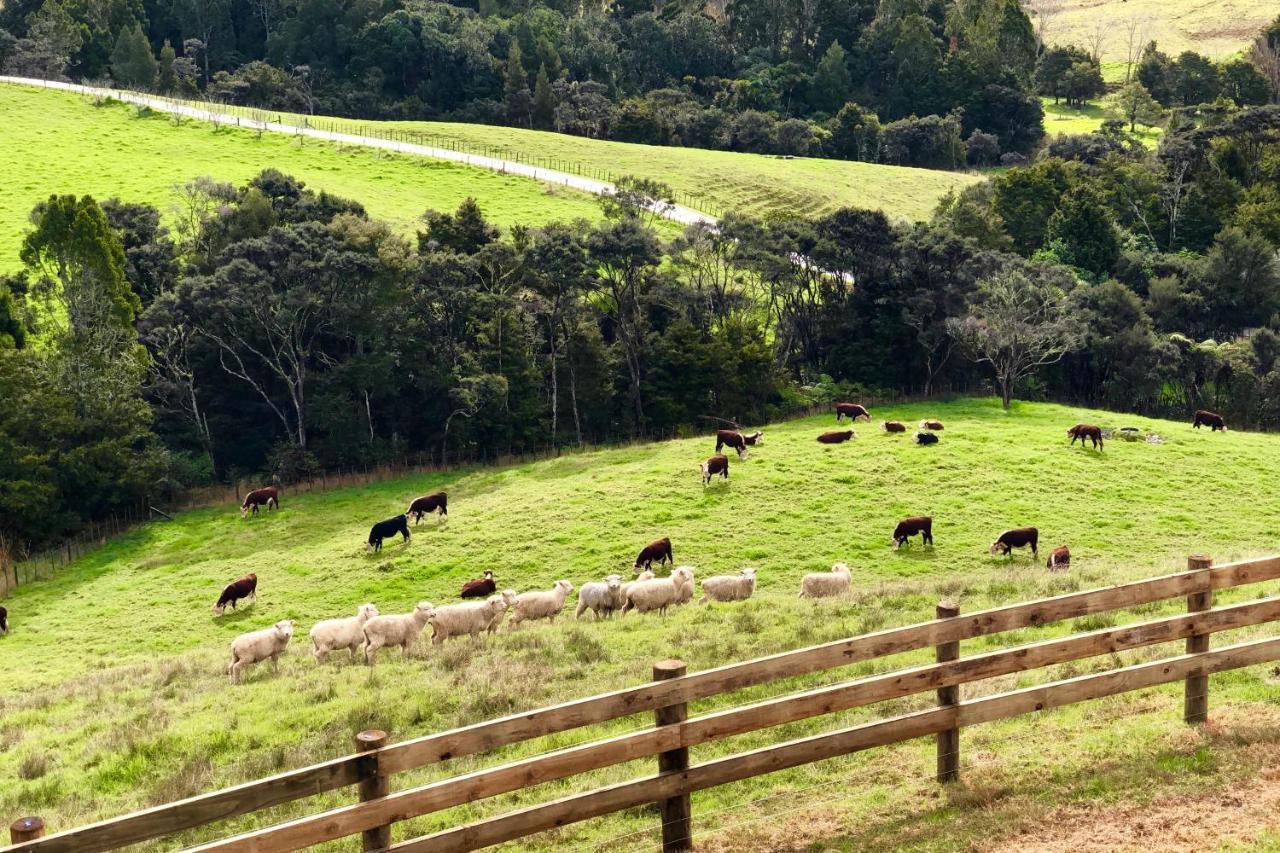Kauri Glen BnB Te Arai Bagian luar foto