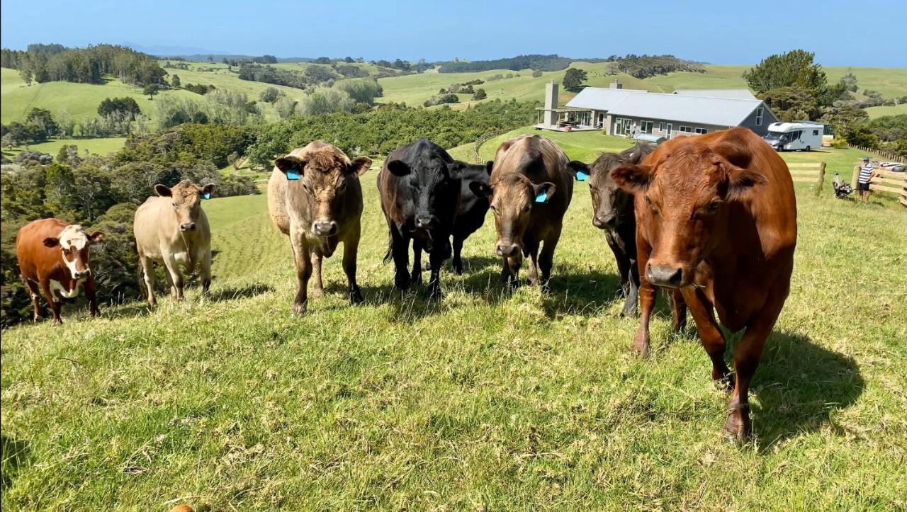 Kauri Glen BnB Te Arai Bagian luar foto